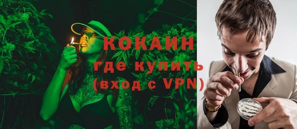 твердый Алзамай